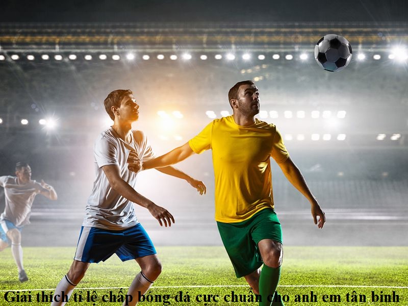 Giải thích tỉ lệ chấp bóng đá cực chuẩn cho anh em tân binh