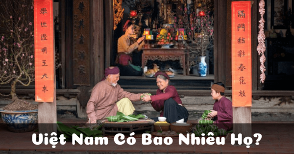 Viet Nam Co Bao Nhieu Ho