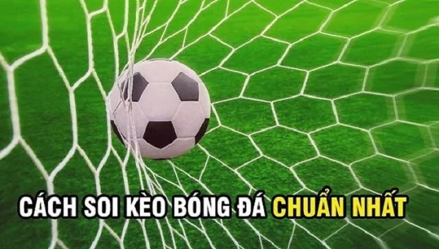 Ty Le Keo Bong Chau A 3