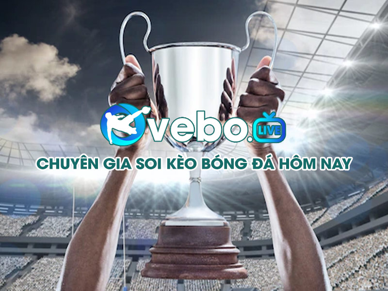7 Ve Bo Live 3
