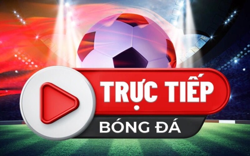 Link Xem Truc Tiep Bong Da Tai Socolive
